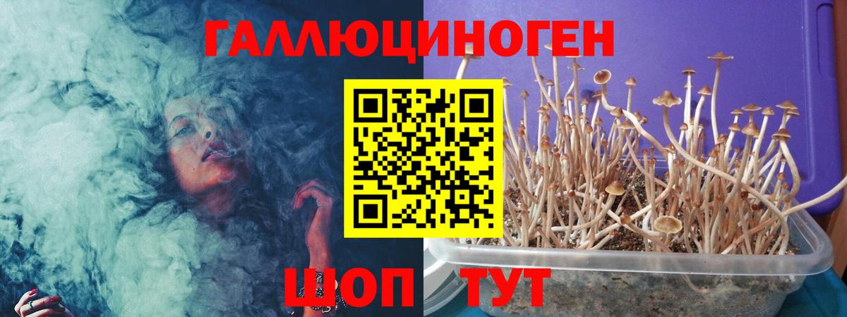 где купить наркоту  Галлюциногенные грибы GOLDEN TEACHER  Галлюциногенные грибы Cubensis  Вход с VPN  Ярцево 