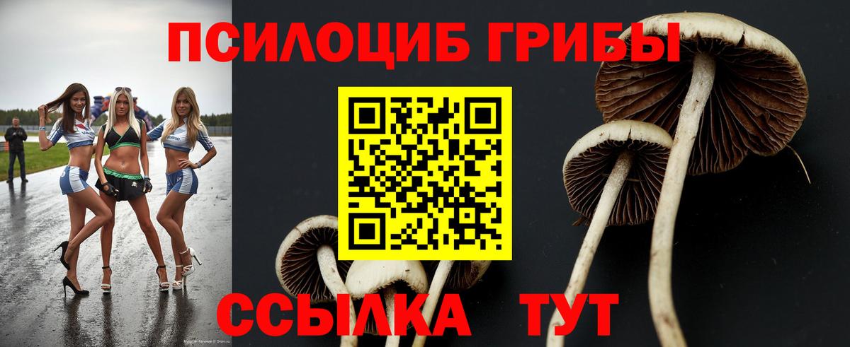 Галлюциногенные грибы мухоморы Ярцево